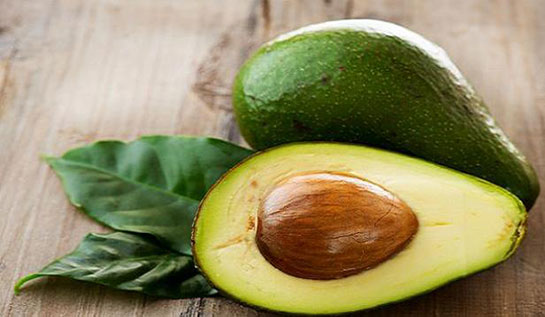 Avokado Çayı Kullanımı ve Faydaları Nelerdir?